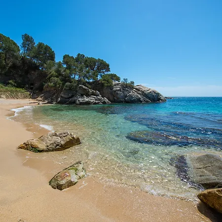 Hotel Cala Del Pi - Adults Only-3