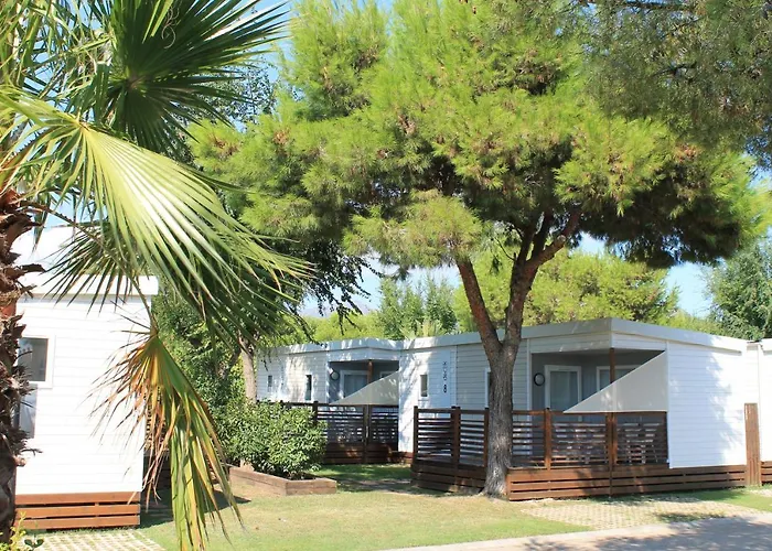 Camping Rodas