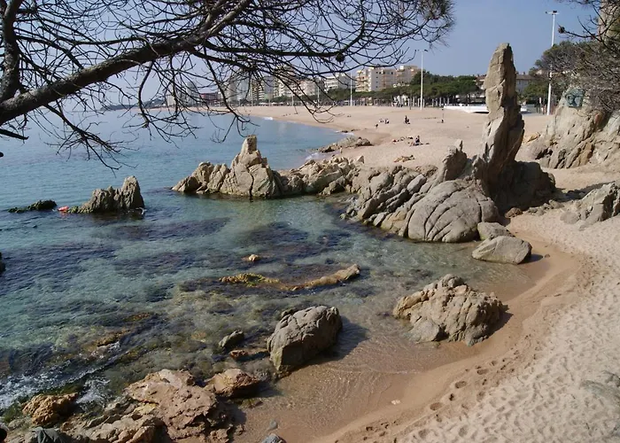 Hotel Serenity Platja D'Aro By Pandora Hoteles