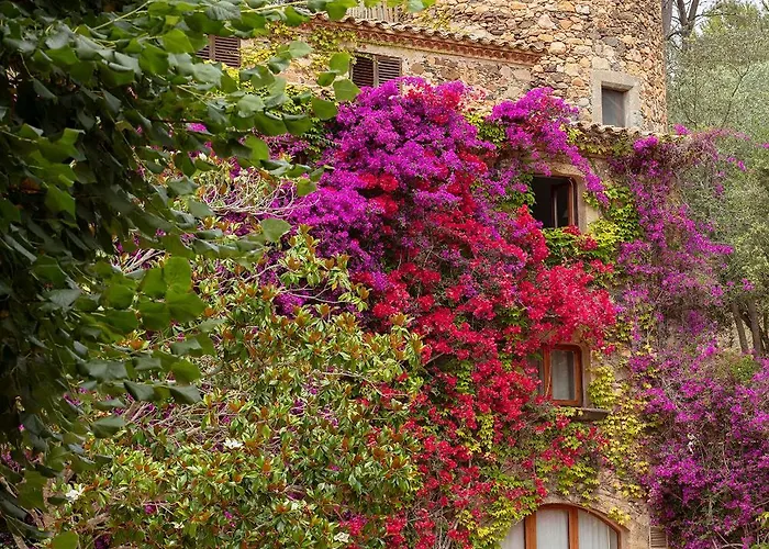 Hotel Mas Pastora - Adults Only
