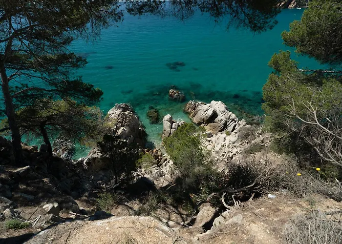 Camping Cala Llevado