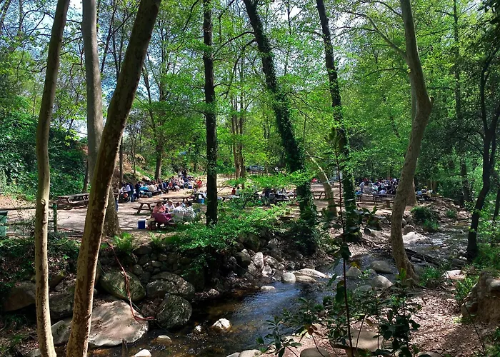 Càmping Parc Gualba