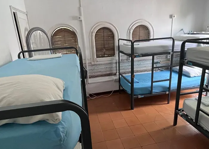 Can Cocollona
